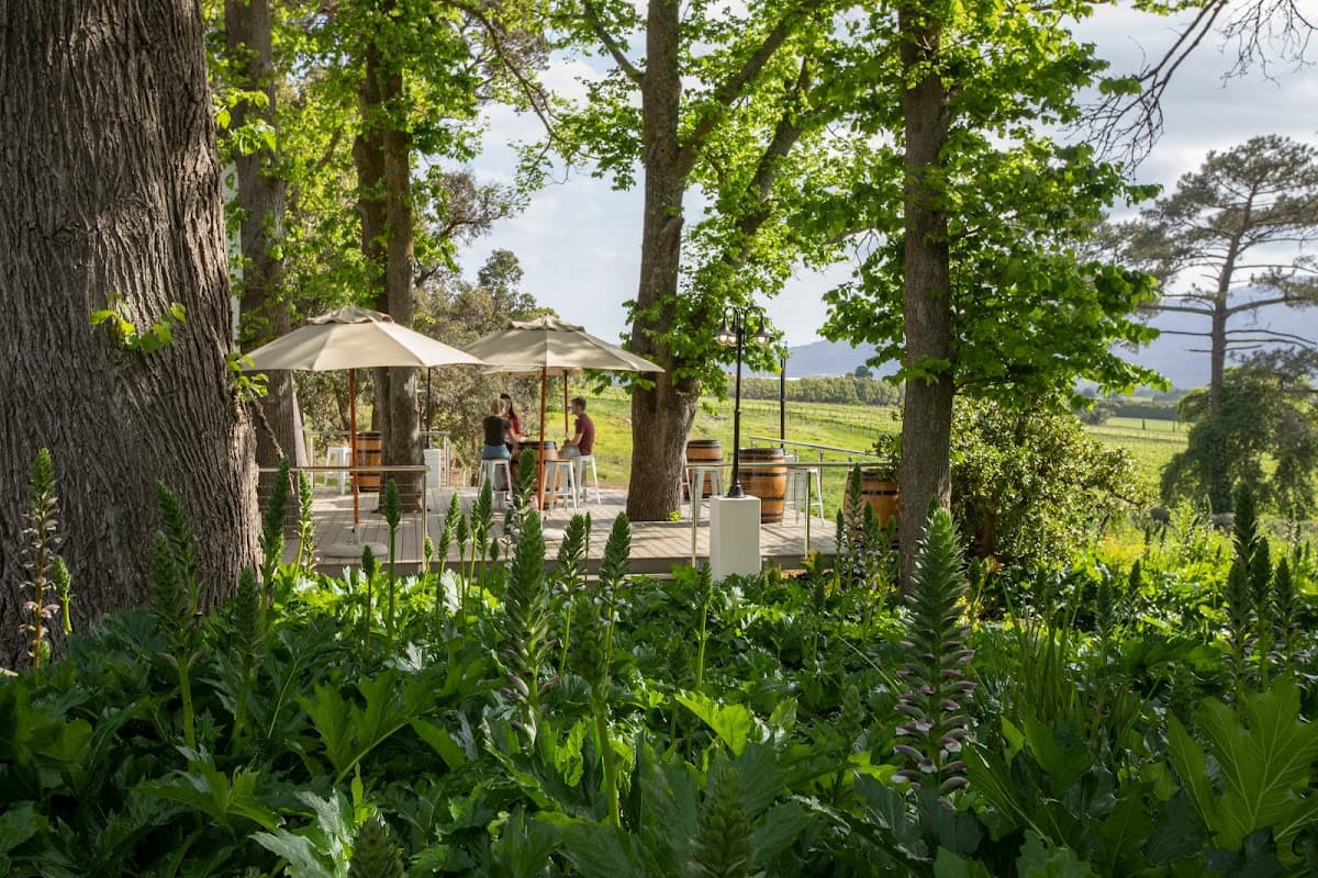 Elgin Vintners Wines & 4-Star Country Guest House gallery image 4