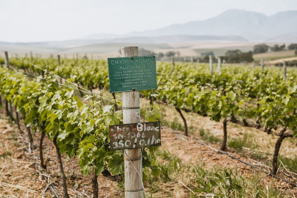 Beaumont Family Wines gallery image 3