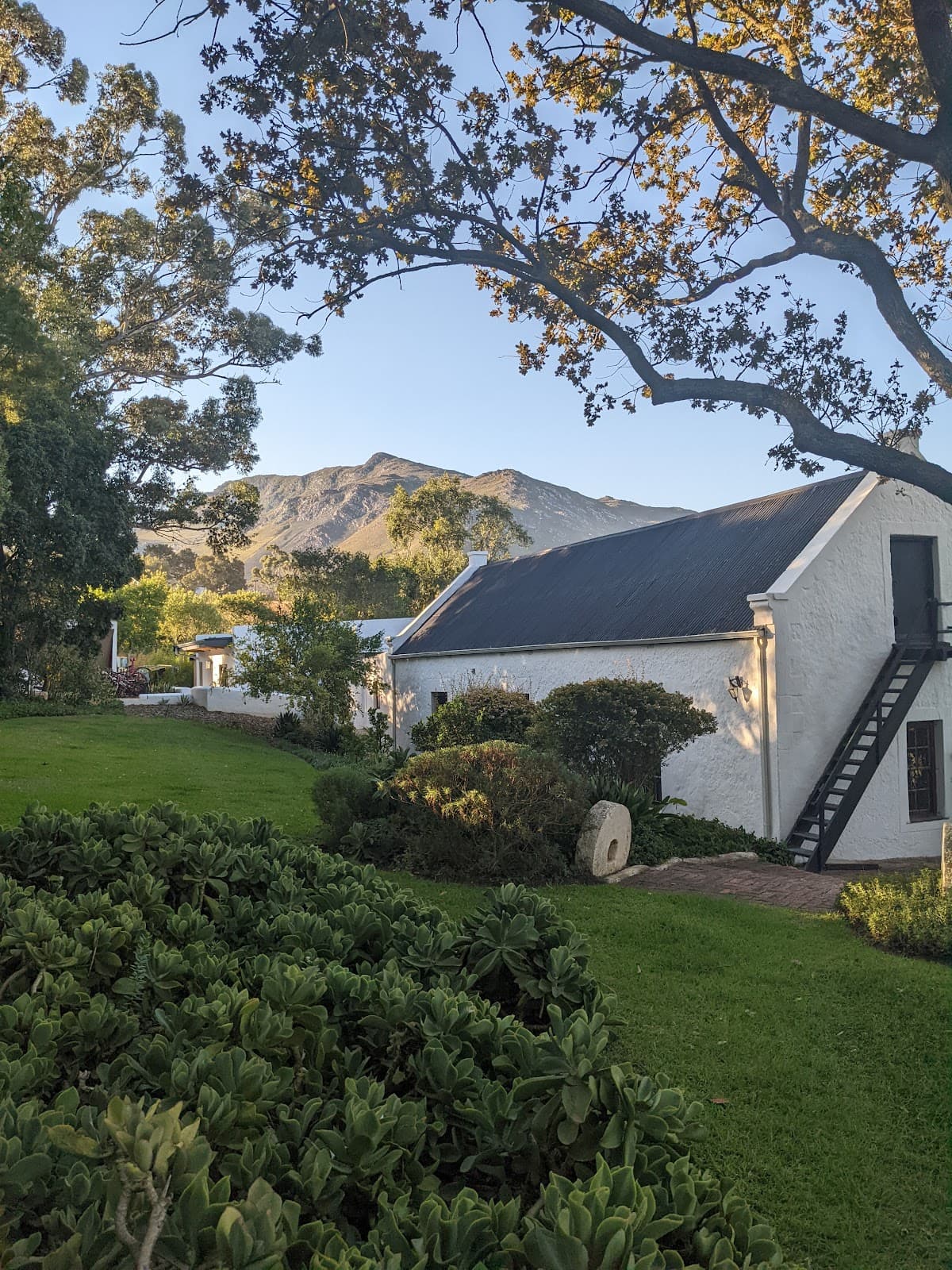 Beaumont Family Wines gallery image 4