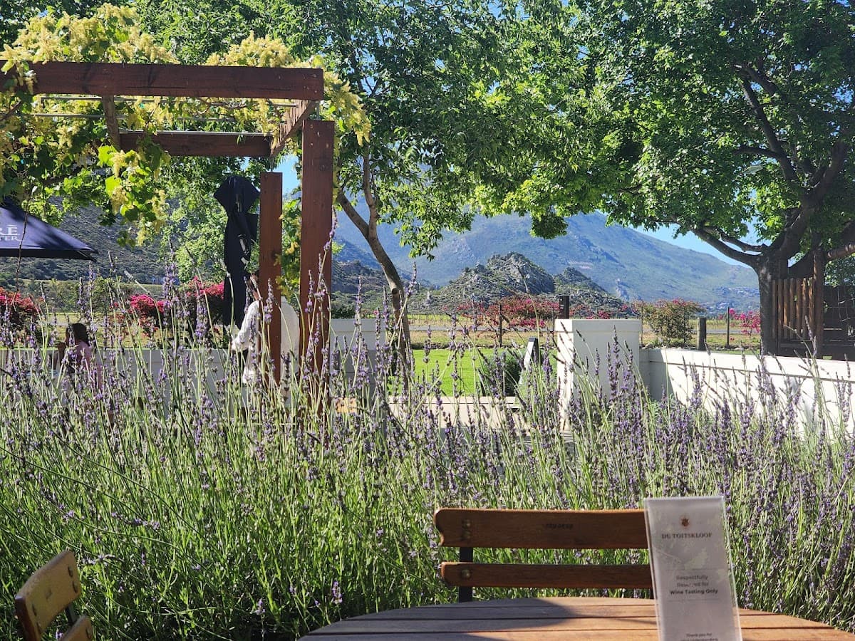 Du Toitskloof Wines gallery image 3