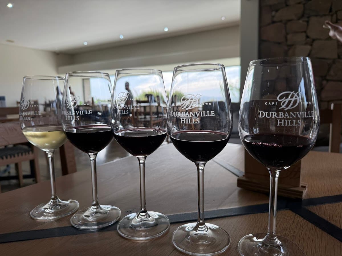 Durbanville Hills Winery gallery image 3