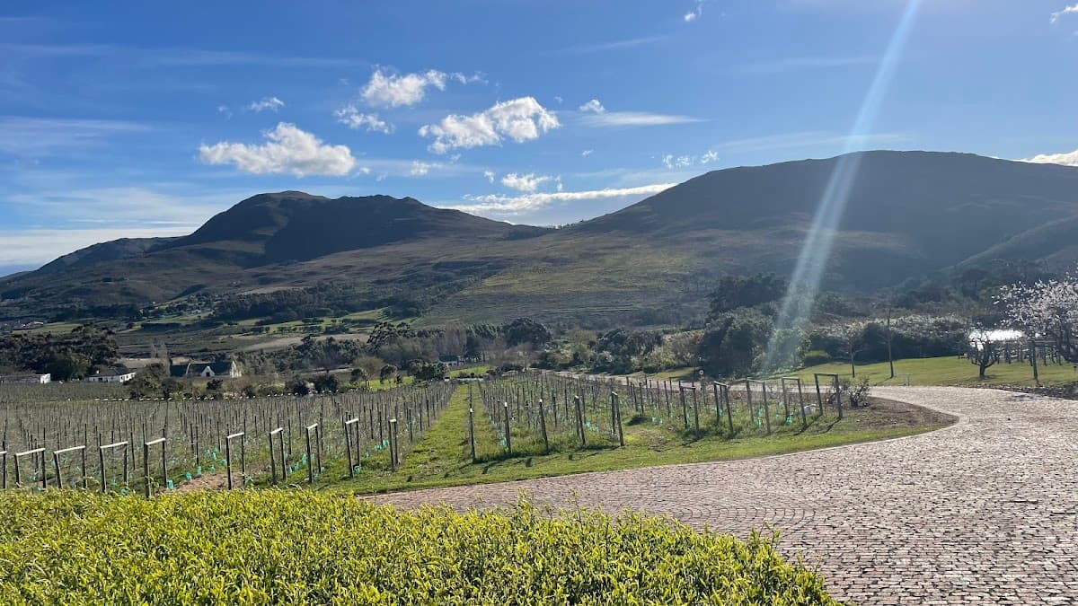 Bouchard Finlayson Winery - visit our Pop Up in Hermanus gallery image 3