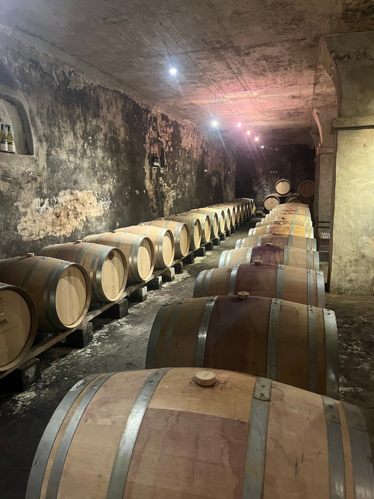 Bouchard Finlayson Winery - visit our Pop Up in Hermanus gallery image 4